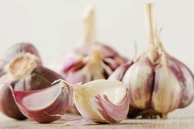 Bất ngờ với công dụng trị mụn, trắng da từ tỏi