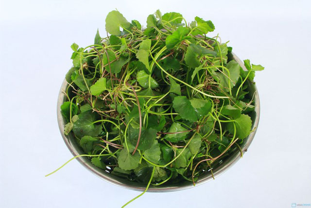 Lợi ích của rau má đối với sức khỏe phụ nữ mang thai