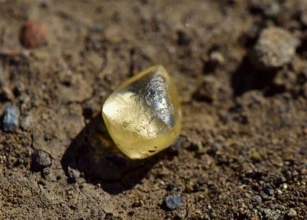 Viên kim cương được du khách tìm thấy. (Nguồn: mirror.co.uk)