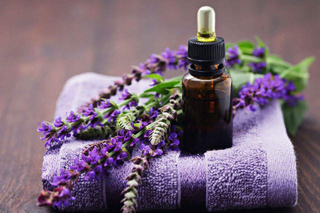 Sáu loại mùi là khắc tinh của muỗi