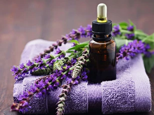 Sáu loại mùi là khắc tinh của muỗi