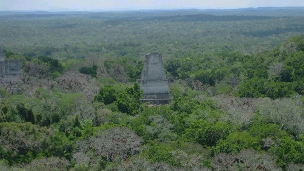 Thành phố Tikal thuộc nền văn minh Maya cổ đại là một trong những địa điểm khảo cổ được được nghiên cứu kỹ lưỡng nhất trên thế giới. (Nguồn: brown.edu)