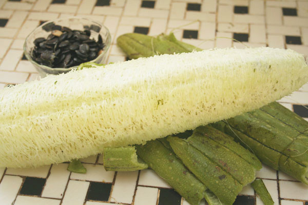 Mẹo trị mụn lưng, làm mịn da cực hiệu quả với xơ mướp