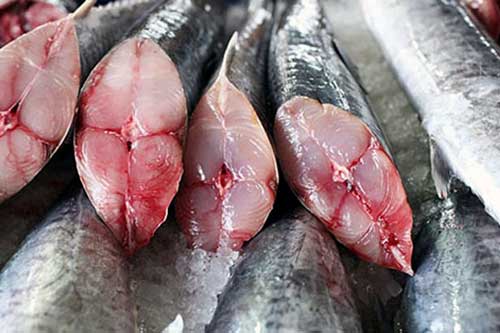 Dân biển tiết lộ: Cách chọn cá thu siêu chuẩn, không sợ bị ướp đạm