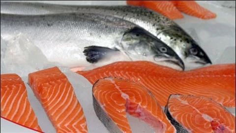 Cá hồi nuôi được cho ăn chế độ nhiều chất hóa học gây hại đến sức khỏe con người