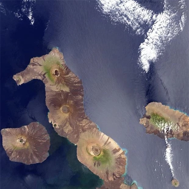 Những hòn đảo kì vĩ có hình dạng như thế giới động vật khiến ai cũng trầm trồ, sống động nhất là hòn đảo xếp số 1 - Ảnh 9.