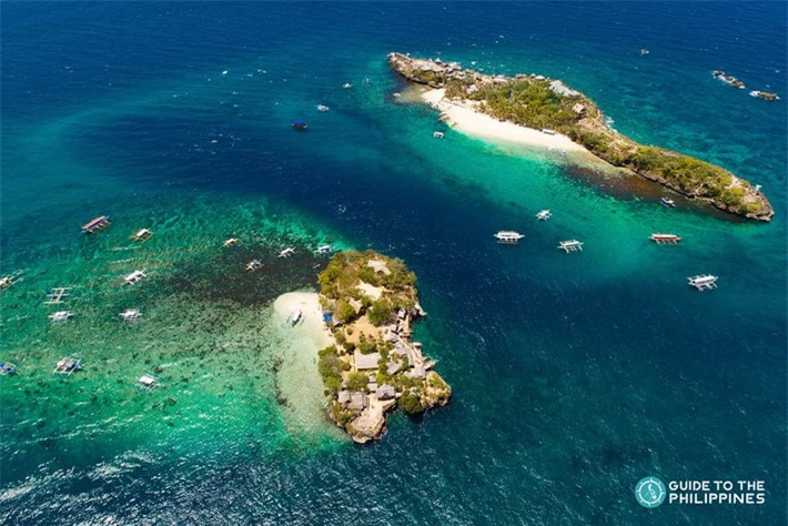 Những hòn đảo kì vĩ có hình dạng như động vật, hòn đảo xếp số 1 khiến ai trông thấy cũng 
