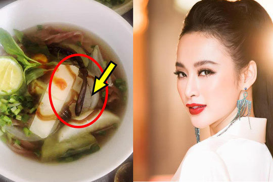 Sỹ Luân: Người quy y không sát sinh, Angela Phương Trinh đang có vấn đề