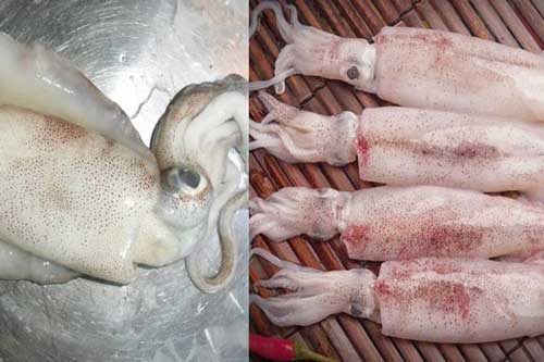 Dân biển tiết lộ: Mua mực cứ nhìn vào 4 điểm này đảm bảo con nào con nấy tươi rói, khỏi lo hóa chất
