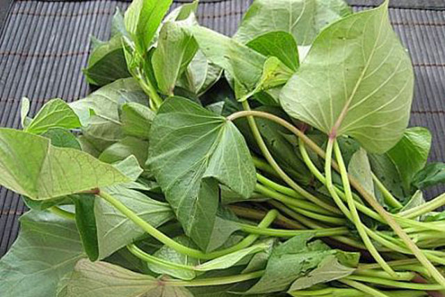 Những lưu ý khi bà bầu sử dụng rau lang