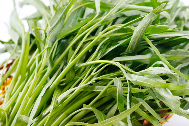 Lợi ích phòng trị bệnh hữu hiệu của rau muống