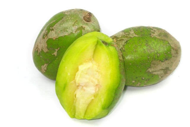 Phòng và điều trị cảm cúm, đau họng với quả cóc