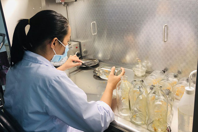 Truyền cảm hứng phát triển đất nước dựa vào KH&CN và đổi mới sáng tạo