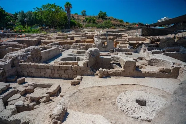 Phát hiện nhà máy sản xuất rượu vang 1.500 năm tuổi lớn nhất ở vùng Thánh địa Israel - Ảnh 2.