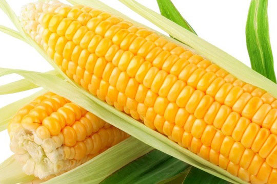 Giá trị dinh dưỡng ít người biết về ngô