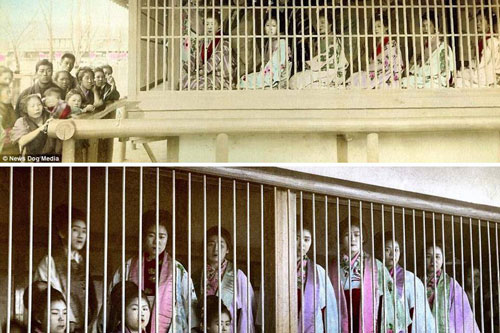 Kỹ nữ được trưng bày trong lồng ở Nhật 100 năm trước và câu chuyện làm đẹp để thoát thân