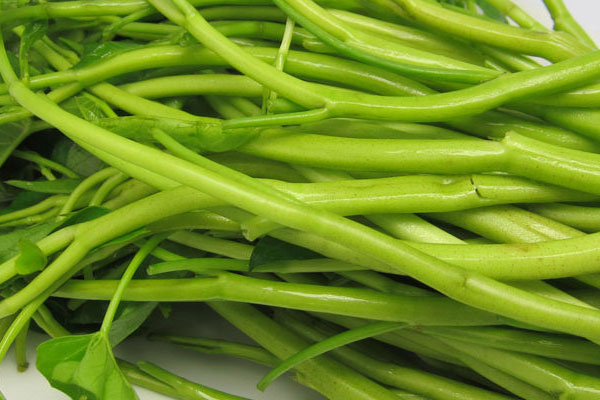 5 sai lầm khi chế biến rau khiến mất sạch vitamin, rau ăn nhạt kém hâp dẫn