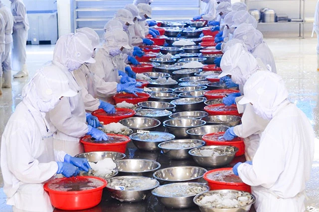 Hoạt động sản xuất tại Công ty Cổ phần Nha Trang Seafoods - F17. Ảnh: Báo Khánh Hòa