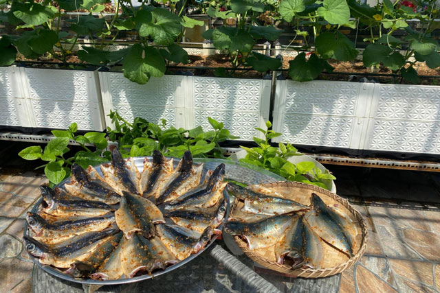 Mẹ đảm mách chị em làm cá một nắng vừa ngon vừa rẻ