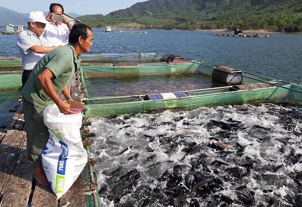 Phó Thủ tướng Lê Văn Thành đề nghị Bộ Tài nguyên và Môi trường nghiên cứu góp ý của 12 Hiệp hội
