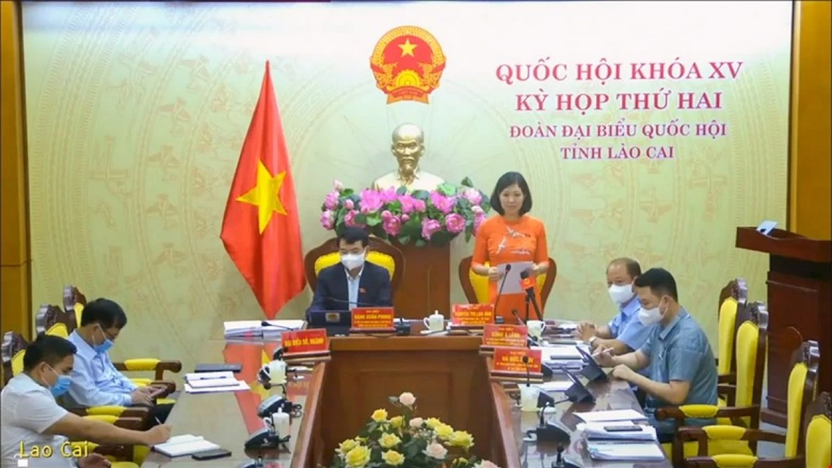 Đại biểu Nguyễn Thị Lan Anh (đoàn Lào Cai)