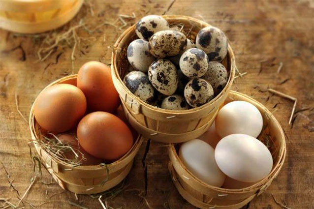 Trứng gà, trứng vịt, trứng cút - loại nào tốt nhất, giúp con thông minh vượt trội?
