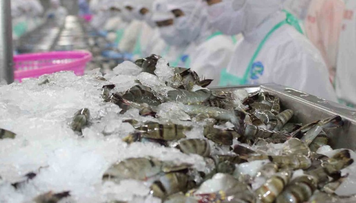 Xuất khẩu tôm 9 tháng đầu năm đạt 2,8 tỷ USD, tăng 2,7% so với cùng kỳ 2020 