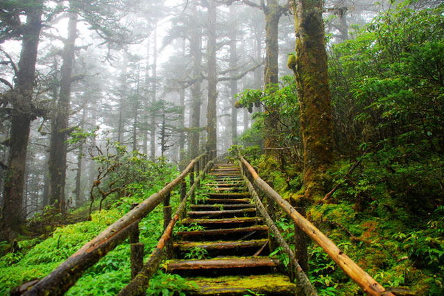 Tứ Xuyên có một khu rừng đẹp tuyệt nhưng hễ ai tới là người dân lại lắc đầu: Đừng dại mà vào!