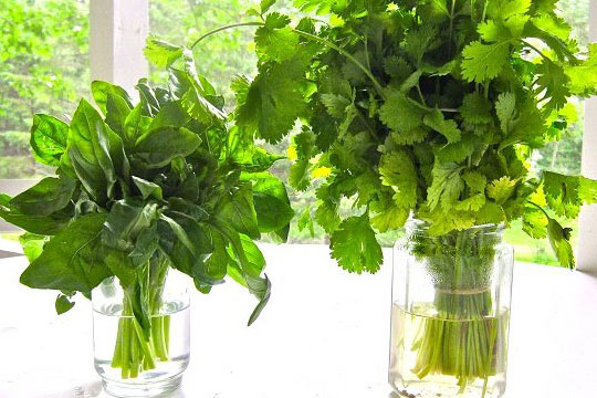 Cách giữ rau thơm, măng tây, dưa chuột sau 3-7 ngày vẫn tươi xanh mà không cần tủ lạnh