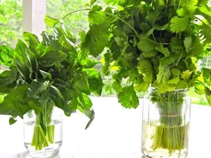 Cách giữ rau thơm, măng tây, dưa chuột sau 3-7 ngày vẫn tươi xanh mà không cần tủ lạnh
