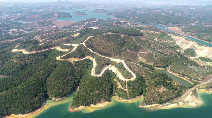 Làm mất hơn 250 ha rừng, chủ dự án 25.000 tỷ đền bù 18,7 tỷ đồng 