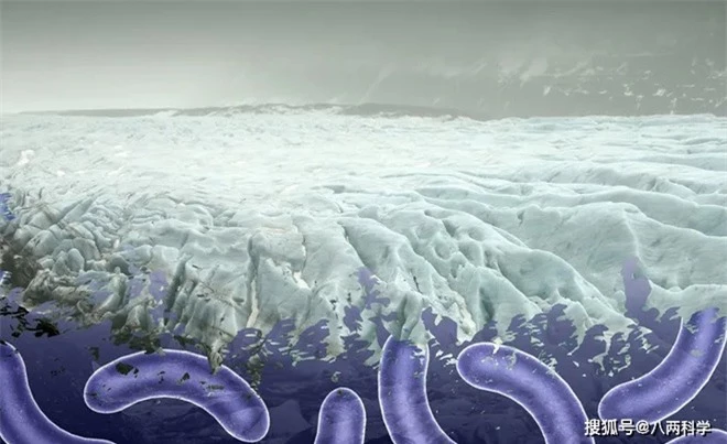 17 hố sâu khổng lồ đột ngột xuất hiện ở vòng Bắc Cực trong 6 năm qua: Khảo sát dưới đáy hố tiết lộ hung thủ bất ngờ! - Ảnh 7.