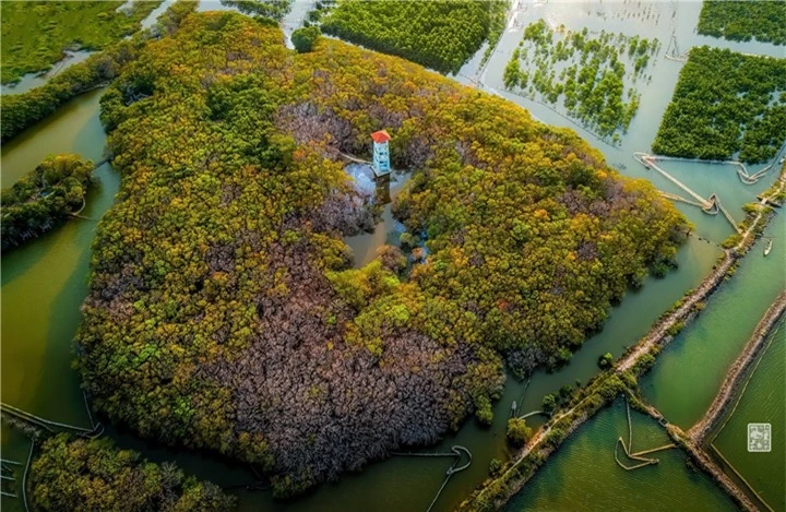 Ít ai biết ở Huế có một cánh rừng rất ‘tình và thơ’ có thể làm bạn ‘quên lối về’ - 3