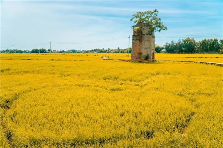 Lò gạch cũ Quảng Nam - Điểm ‘săn’ ảnh đẹp như thiên đường không thể bỏ qua - 9