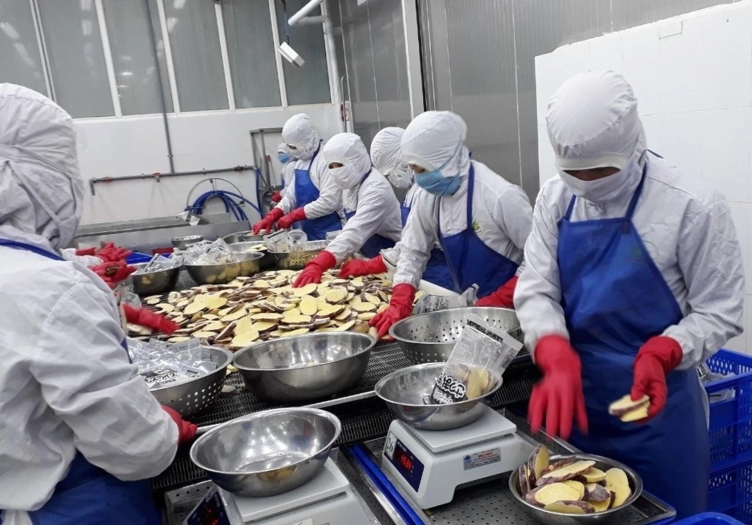 Sau 15 năm nỗ lực, từ mtj doanh nghiệp chủ yếu xuất khẩu rau củ quả,Công ty Cổ phần Viên Sơn đã trở thành đơn vị chế biến sâu nông sản xuất khẩu hàng đầu. 