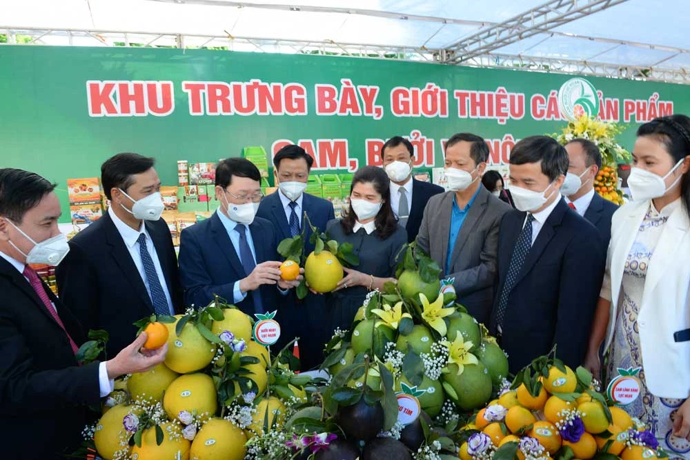 Bắc Giang: Sẽ tạo mọi điều kiện thuận lợi thúc đẩy tiêu thụ cam, bưởi  và các nông sản chủ lực, đặc trưng của tỉnh 