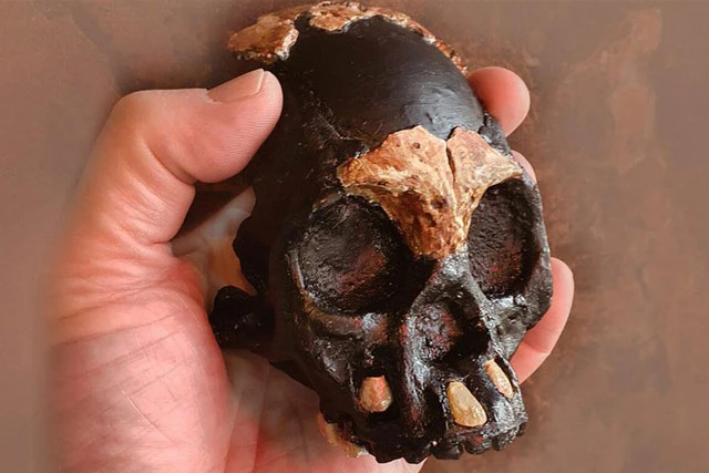 Hộp sọ của người cổ đại được tìm thấy tại một hang động hẻo lánh ở Nam Phi.