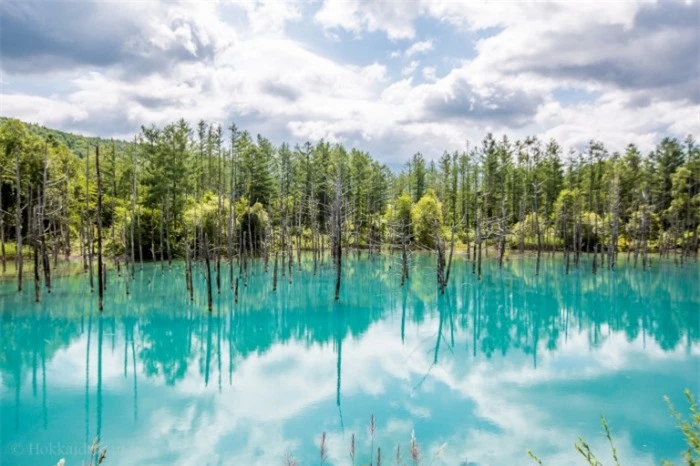Ngỡ ngàng vẻ đẹp hồ nước màu xanh sapphire tại Nhật Bản 1