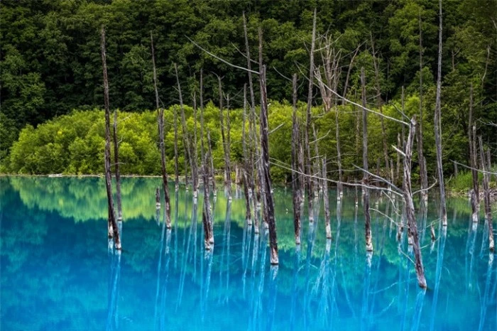 Ngỡ ngàng vẻ đẹp hồ nước màu xanh sapphire tại Nhật Bản 3