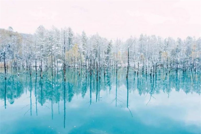 Ngỡ ngàng vẻ đẹp hồ nước màu xanh sapphire tại Nhật Bản 6