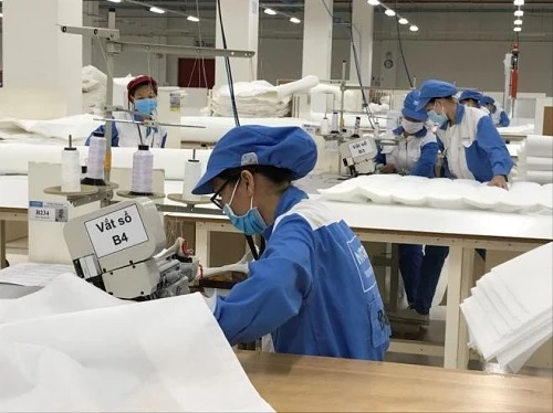 Người lao động Công ty TNHH Nitori (Khu công nghiệp Phú Mỹ 3, thị xã Phú Mỹ) trong giờ sản xuất.