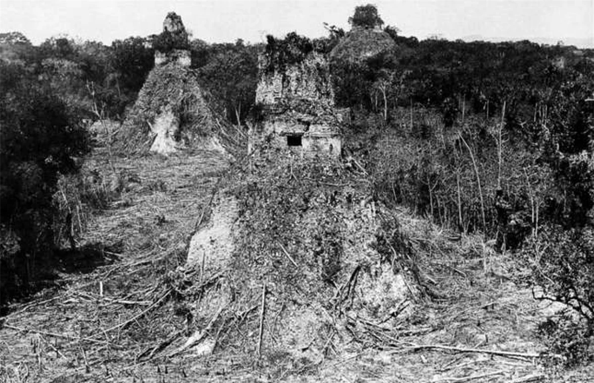 Tikal nằm ở phía bắc Guatemala từng là một thành phố cổ của nền văn minh Maya. Nơi này từng phát triển thịnh vượng vào năm 300 trước Công nguyên và trở nên đông đúc với những quảng trường lớn và các kim tự tháp. Bức ảnh trên được nhà thám hiểm người Anh Alfred Maudslay chụp lại. Ông là người đã vẽ lại bản đồ và khai quật địa điểm trên trong suốt những năm 1880./.