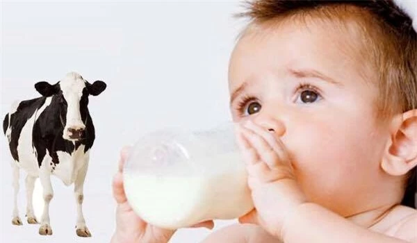 Sữa bò và sữa dê, loại nào dễ gây dị ứng hơn? - Ảnh 3.
