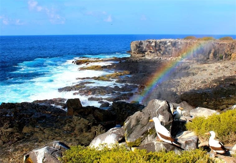 5 hòn đảo thiên đường ở vùng biển Galapagos nhất định bạn phải ghé thăm