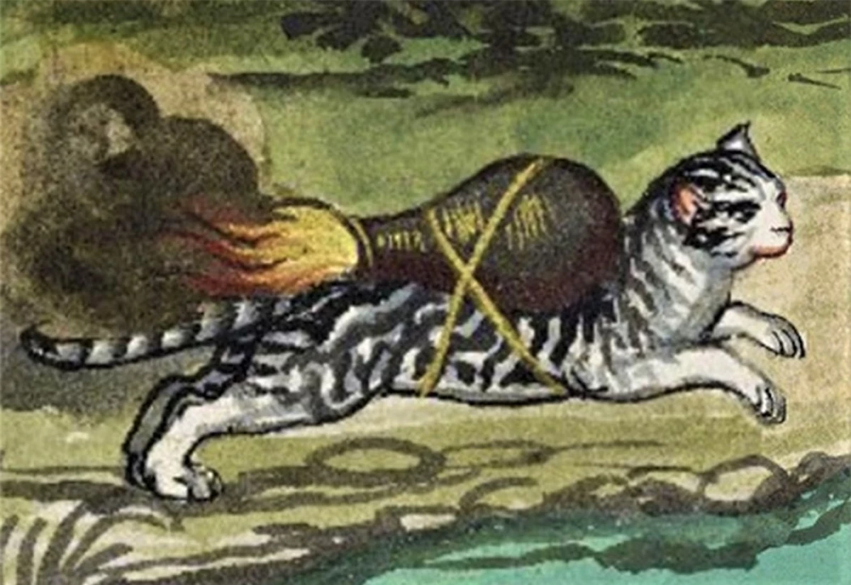 Việc sử dụng “tên lửa mèo” được mô tả rất chi tiết trong cuốn sách của tác giả Franz Helm. Nguồn: Historyofyesterday.com