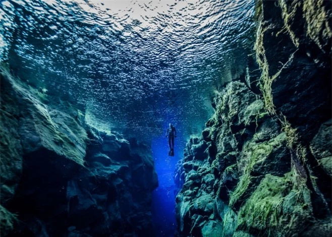 Top 6 địa điểm lặn biển tuyệt vời nhất thế giới