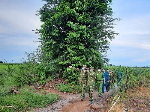 Công an huyện An Phú phối hợp với lực lượng Bộ đội Biên phòng trong công tác kiểm soát tuyến biên giới.