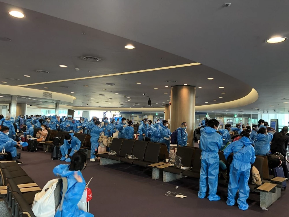 Đoàn khách hồi hương trên chuyến bay Charter về Nha Trang, ngày 29/10. (Ảnh Vietravel)