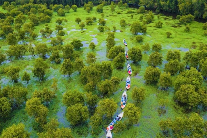 Cánh rừng từng nhận 2 kỷ lục Việt Nam đẹp mướt mát sắc xanh mùa nước nổi - 2