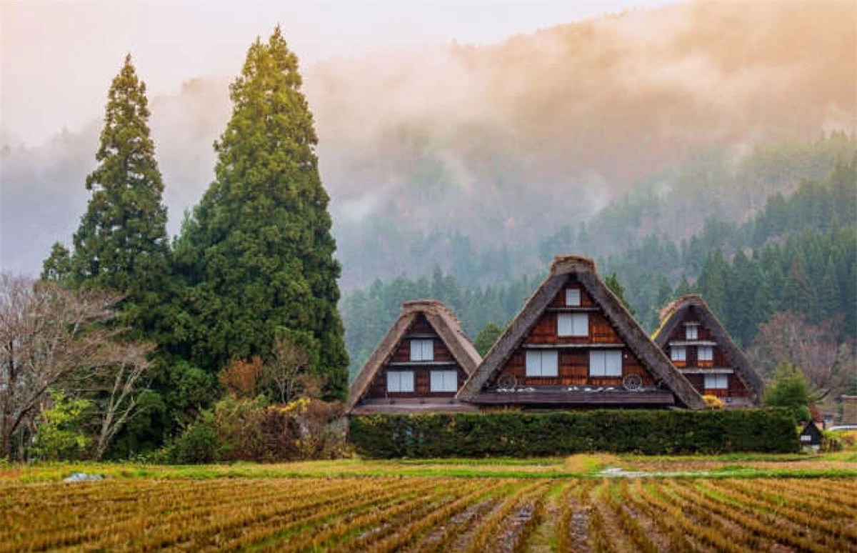 Tọa lạc tại thung lũng sông Shogawa mù sương, ngôi làng lịch sử Ogimachi ở vùng Shirakawa-go của Nhật Bản dường như đã bị thời gian quên lãng.